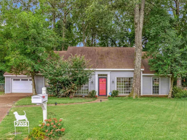 7205 Skidmore Cv, Memphis, TN 38119