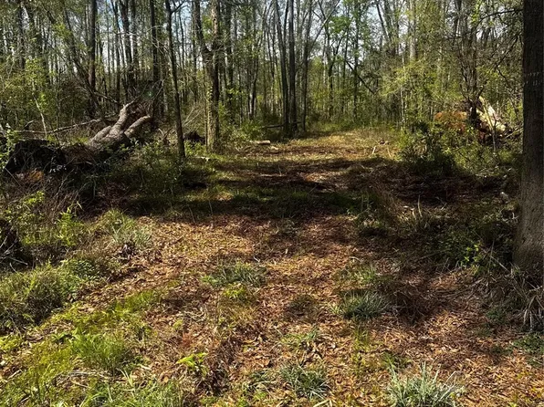 0 N Winter Crk, Cleveland, TX 77328