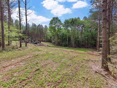 0 County Road 432 #2, Woodland, AL, 36280