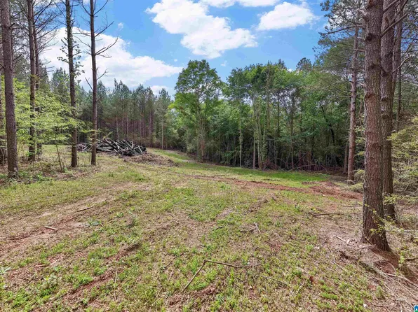 0 County Road 432 #2, Woodland, AL 36280