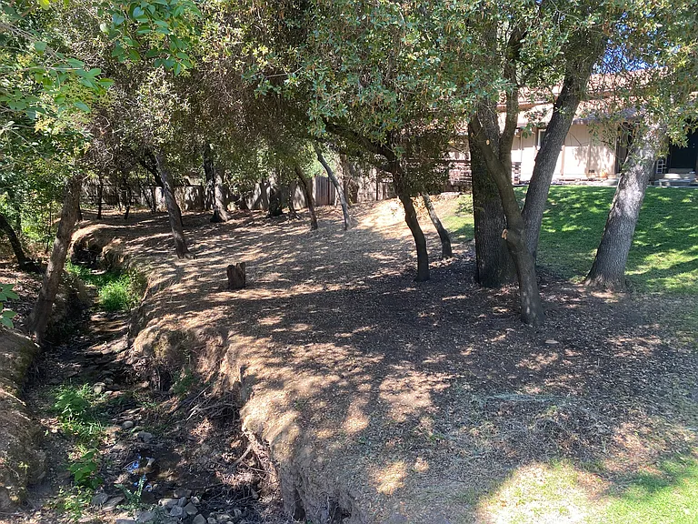 Forest Creek — Photo 19