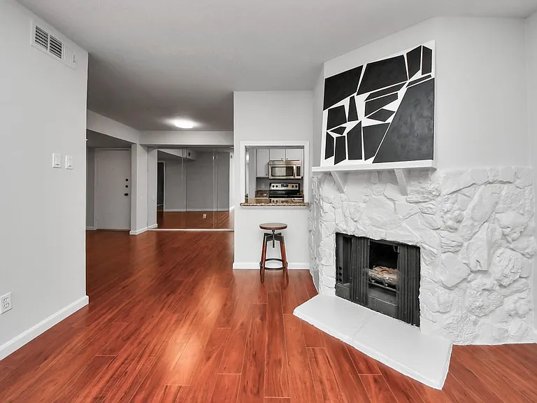 4641 Wild Indigo St #450 — Photo 6