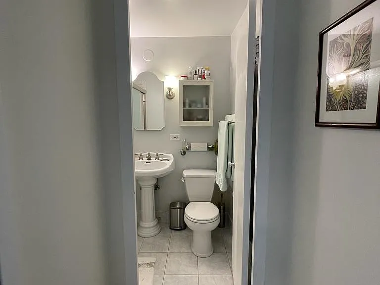 3100 N Lake Shore Dr #1410 — Photo 14