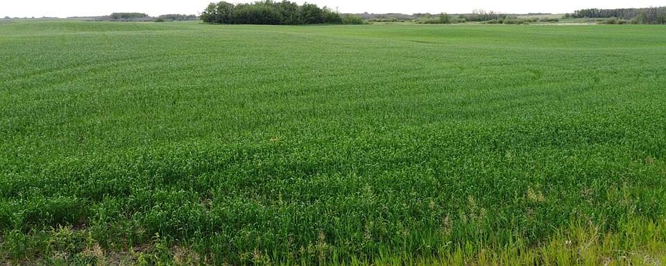 1st image of 163 Range Rural