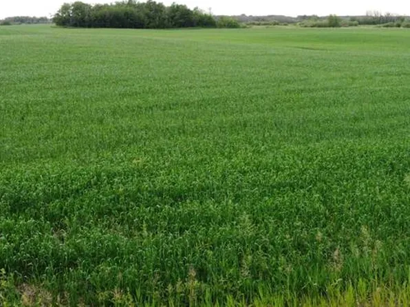 163 Range Rural, Beaver County, AB T0B 0H8