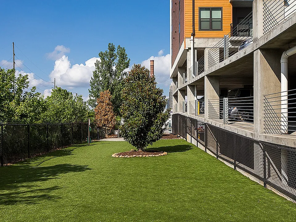 Midtown's Largest Bark Park