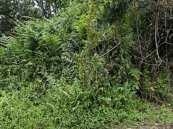 4th image of Pahoa Rd Lot 17