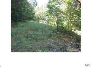 0 Buzzard Run Rd, Pennsboro, WV 26415