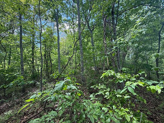 5th image of 9999 Chestnut Flat Rd