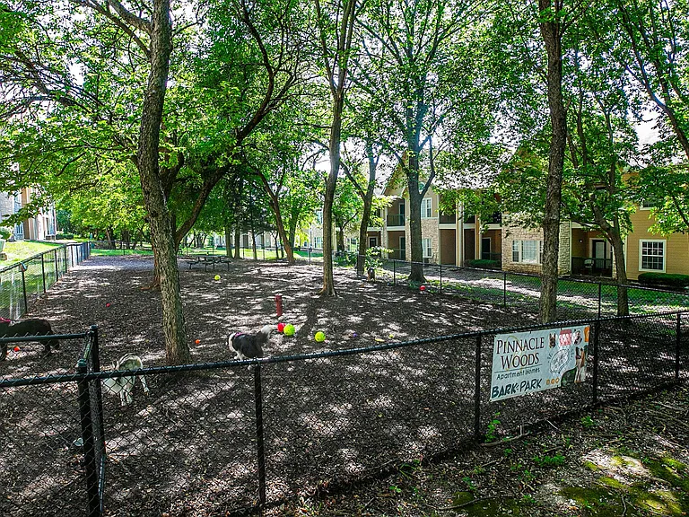 Pinnacle Woods — Photo 13