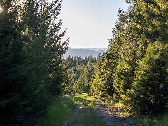 3rd image of Coon Hollow Retreat