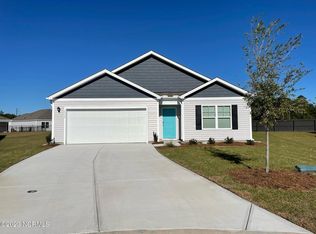 1117 Saint Augustine Dr LOT 38, Castle Hayne, NC 28429