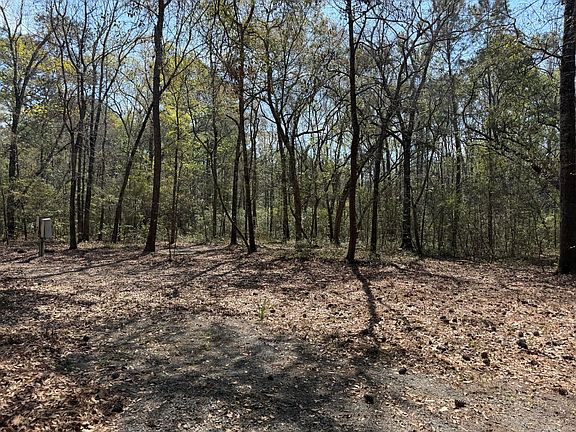 3rd image of 6321 Bears Bluff Rd