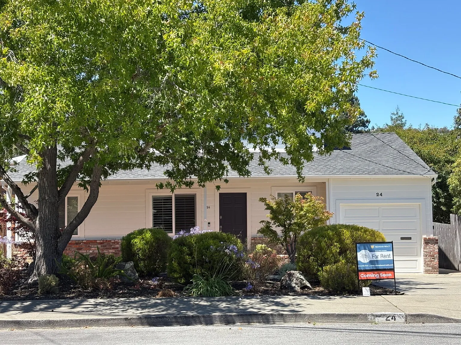 3 bed, 2.0 bath, 1590 sqft, $6,800 — Photo 3