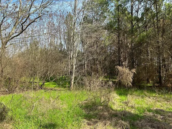 5.45 Ac Cty Rd #140, Headland, AL 36345