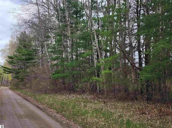 00 River Rd, Omer, MI 48749