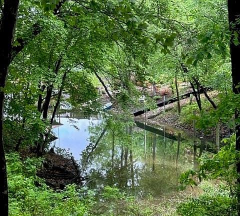 3rd image of 0 Little Creek Dr #2