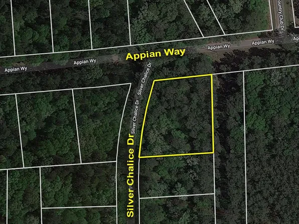 LOT 61 Appian Way Lot 61, New Caney, TX 77357