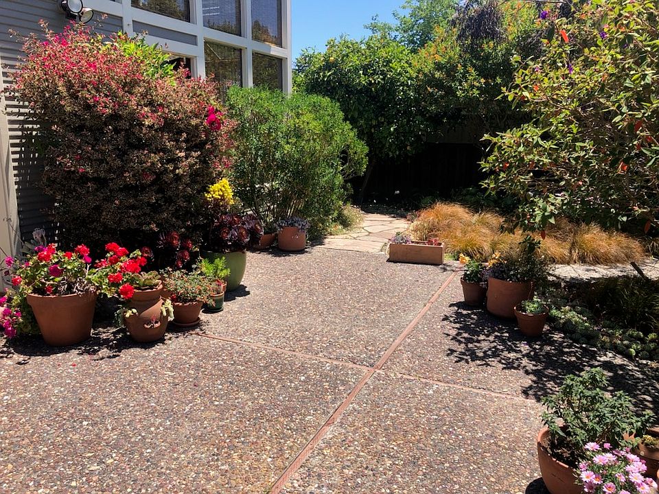 Entry to the house with some parts of the garden.