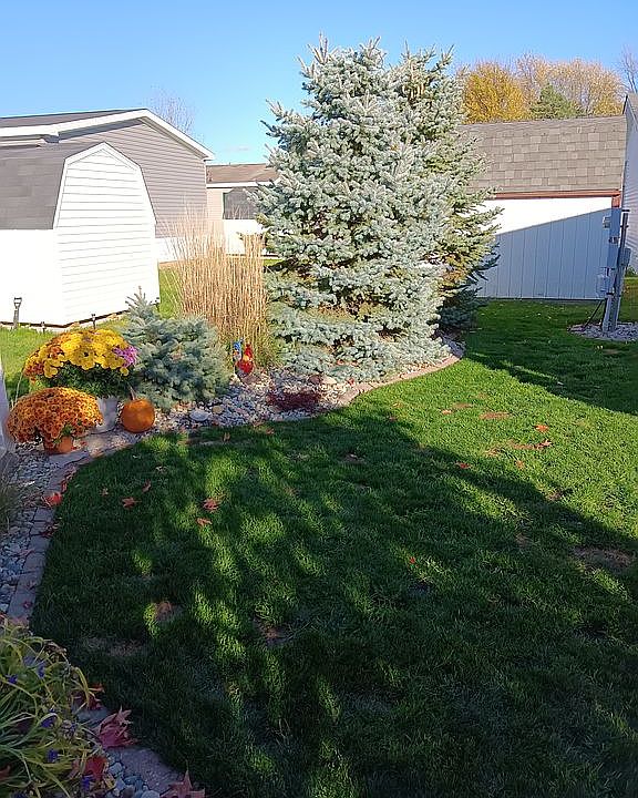 Back yard with 10x16 deck