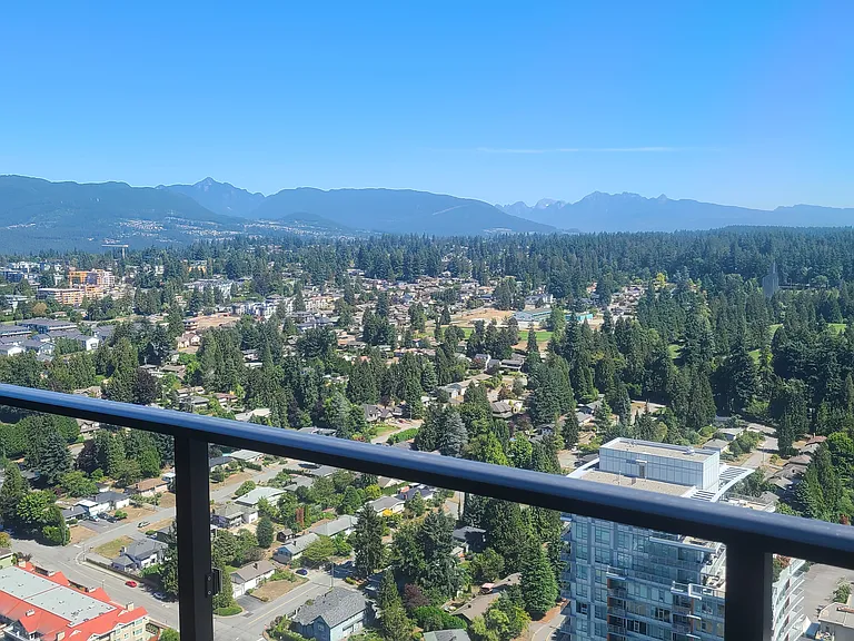 3809 Evergreen Pl #4503 — Photo 39