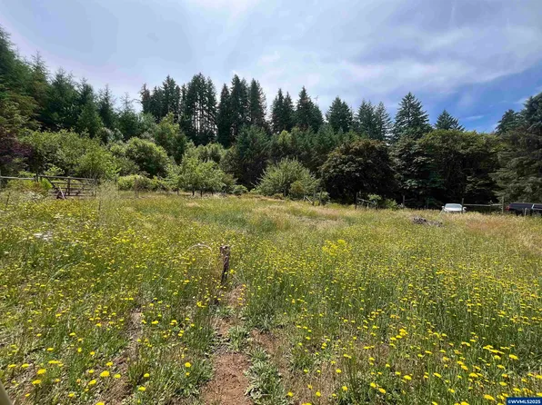 28908 Lake Lyons Rd, Alsea, OR 97324