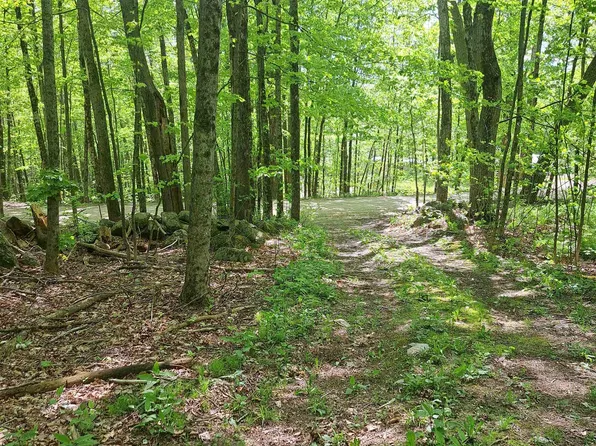 81 Hart Farm Road, Deering, NH 03244