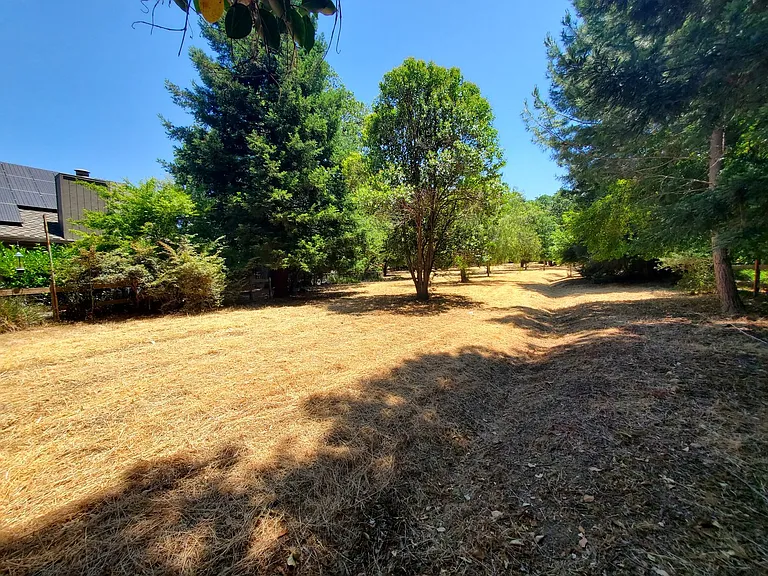 3113 Lippizaner Ln — Photo 38
