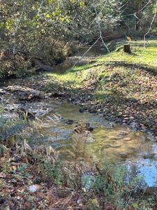 0 Bear Run Cir, Ellijay, GA, 30540