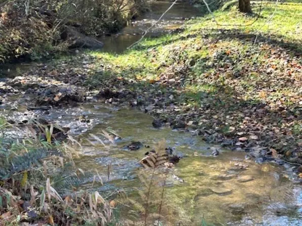 0 Bear Run Cir, Ellijay, GA 30540