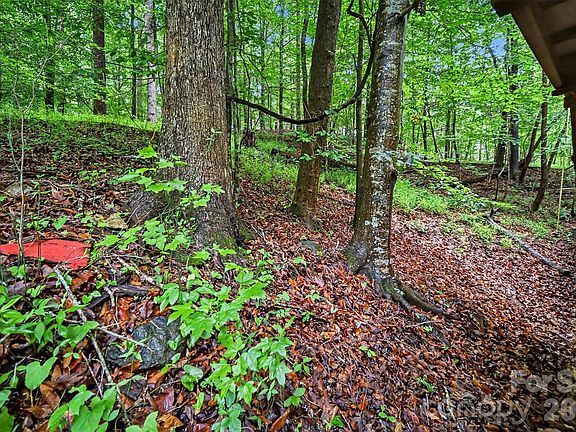 45th image of 260 Cherrywood Ln