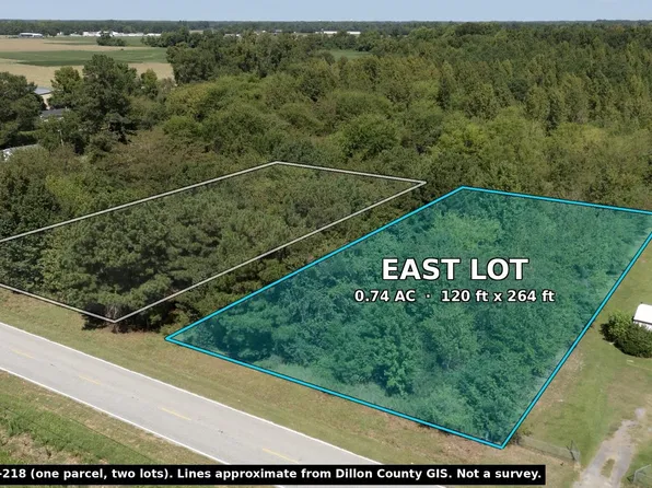 TBD Black Branch Rd. Lot 2, Dillon, SC 29536