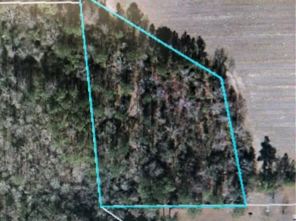 22 Peach Orchard Ln, Lillington, NC 27546