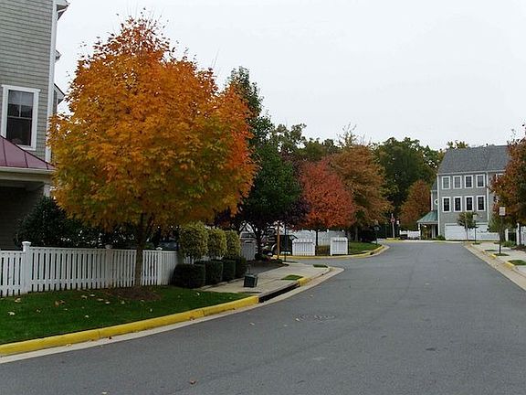 Brenton Pt Dr in Autumn