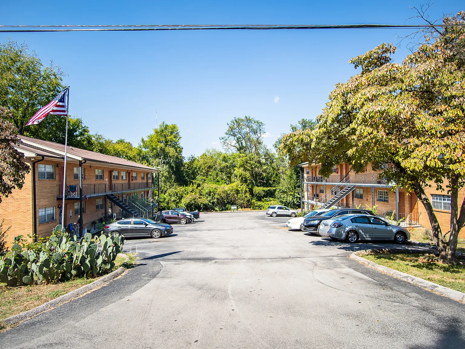 1 bed, $990 — Photo 2