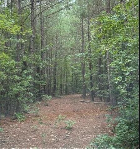 2nd image of 3A Old Edgefield Rd