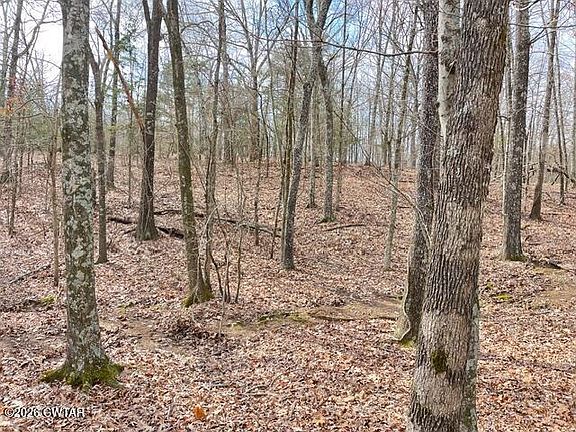 3rd image of 0 Baudy James Rd