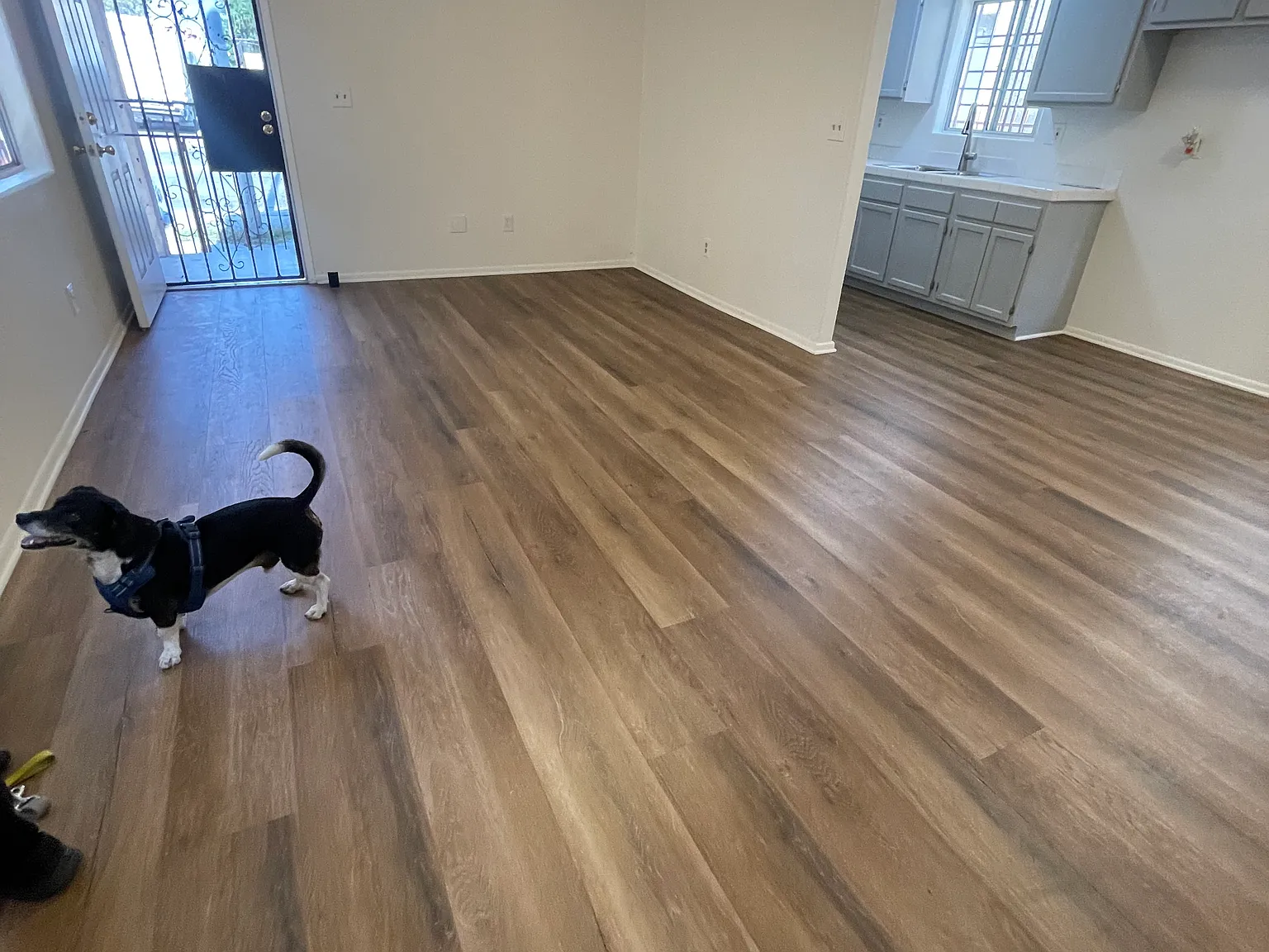 2 bed, 2340 sqft, $1,000 — Photo 3