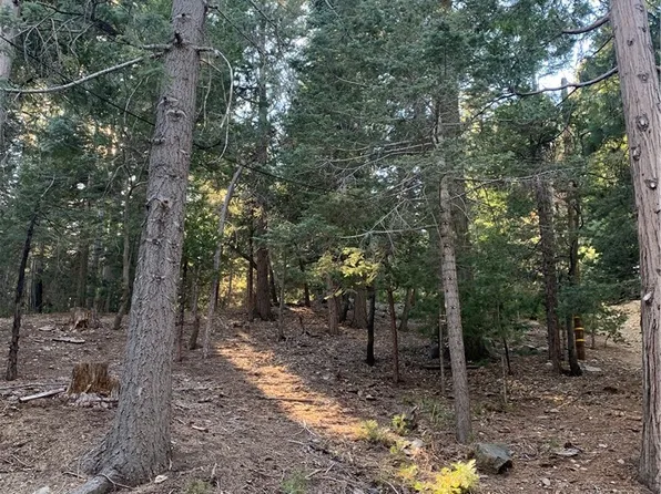 0 Cedarbrook Dr #20, Twin Peaks, CA 92391