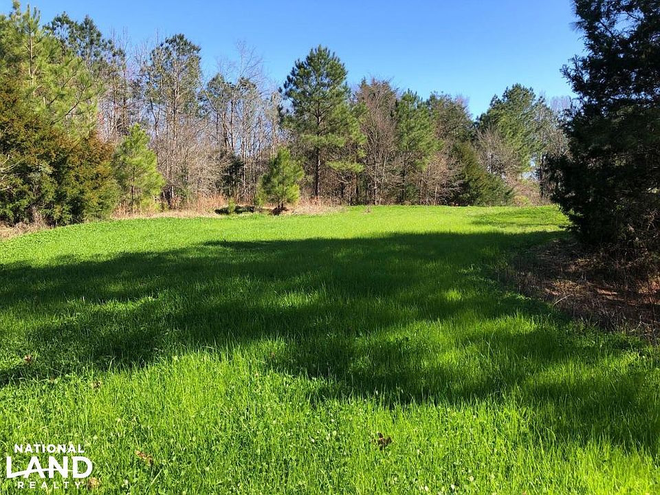 Large Food Plot