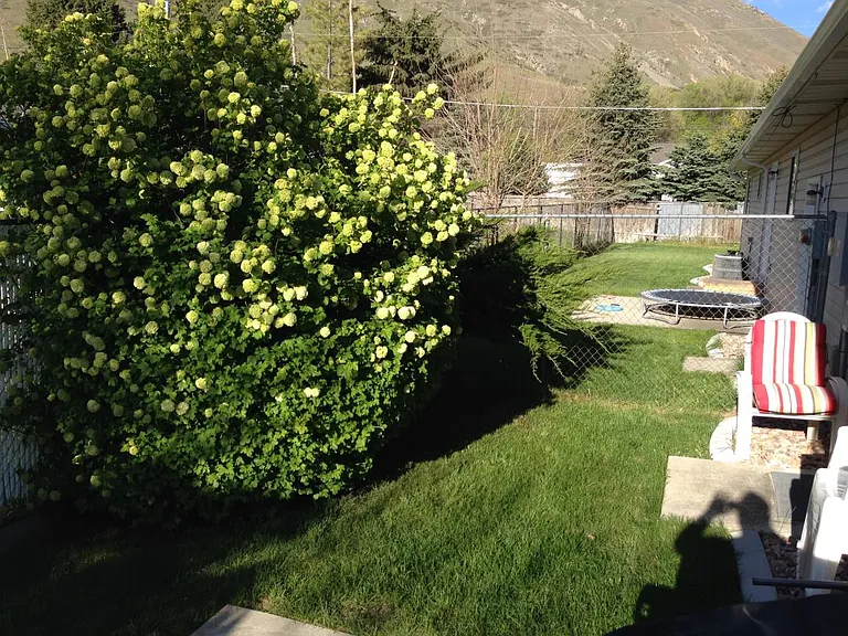 238 N 700 E #2 — Photo 15