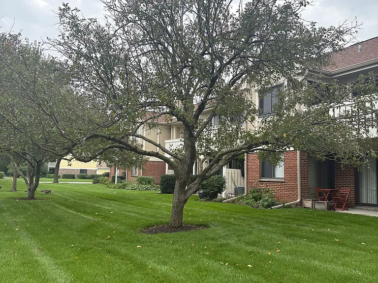 1056 Deerpath Ct — Photo 10