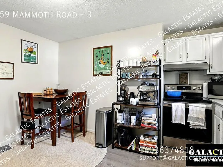 859 Mammoth Rd #3 — Photo 3