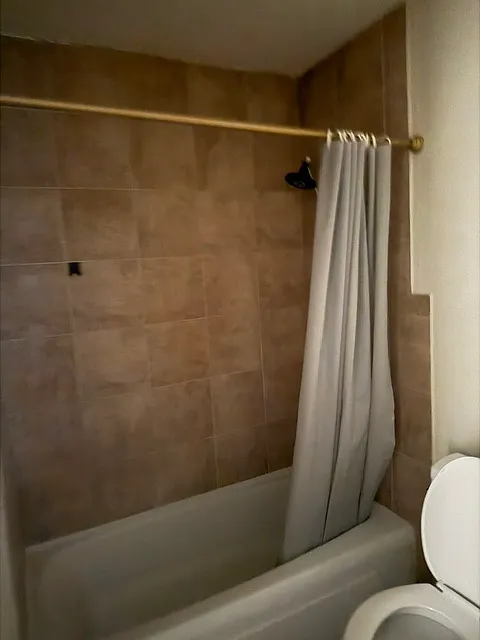 1 bed, $650 — Photo 4