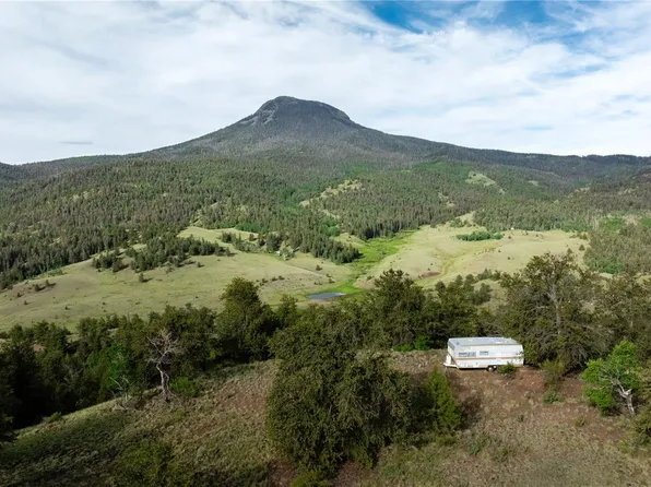 Parcel 5 & 6 Elk Height Lane, Guffey, CO 80820