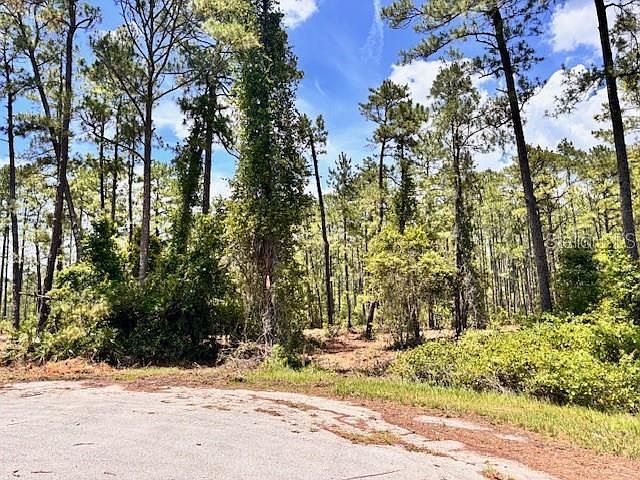 2nd image of CHINABERRY WAY LOT 9