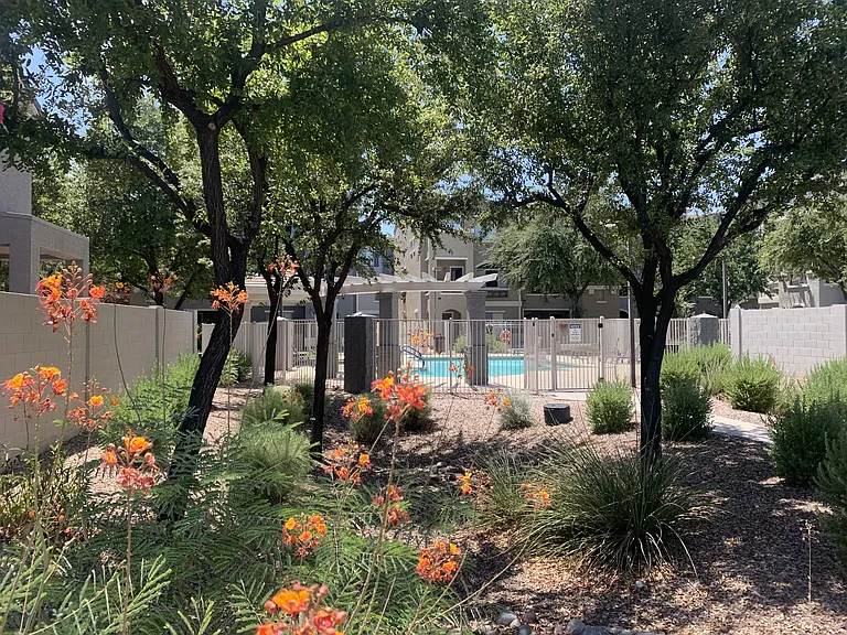 Community Pool by Unit!
