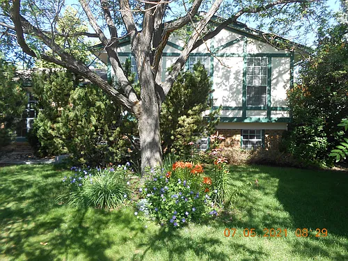 418 Chukar Ct Photo 1
