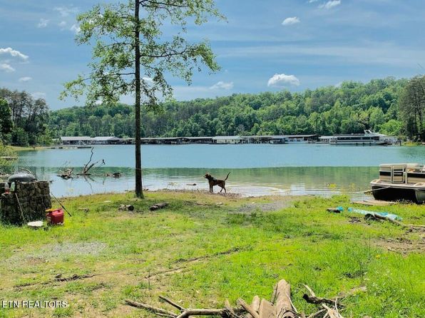 694 Lake Ln, New Tazewell, TN 37825