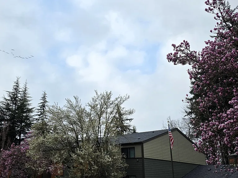 Crystal Lake — Photo 49